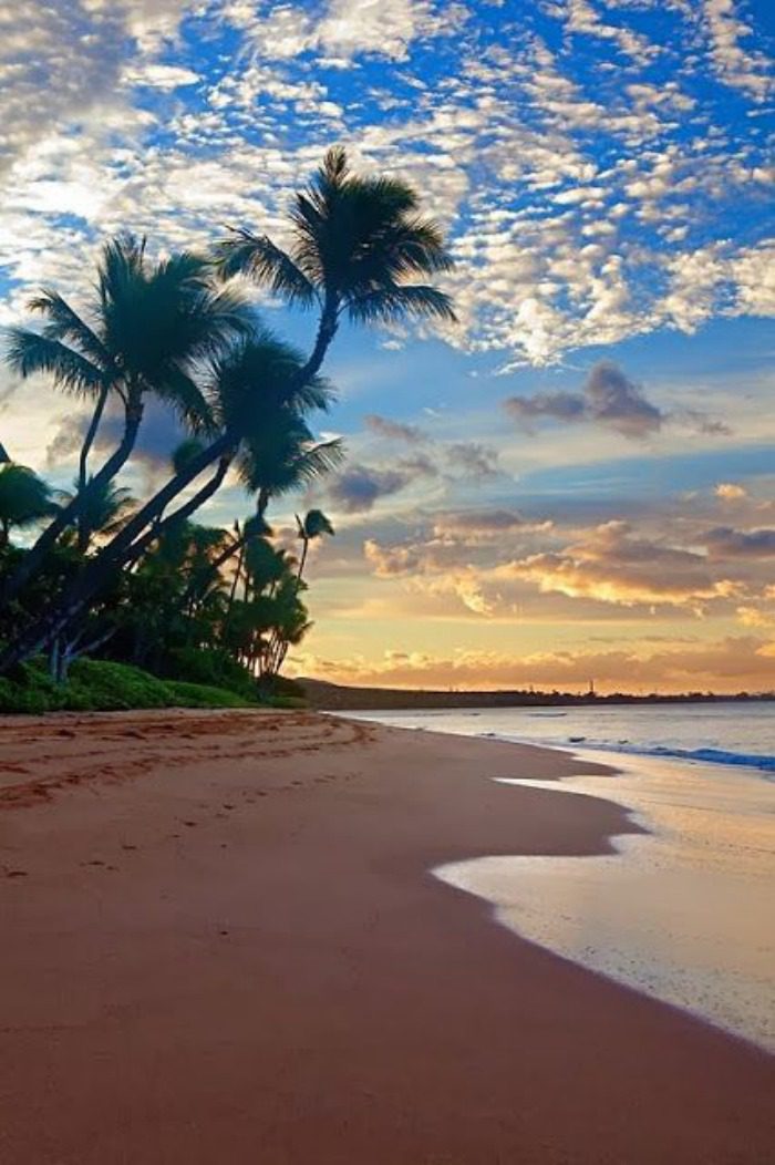 hawaii.jpg