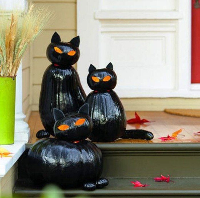 black cat pumpkins