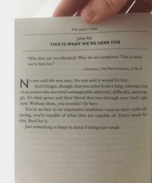 The Daily Stoic excerpt